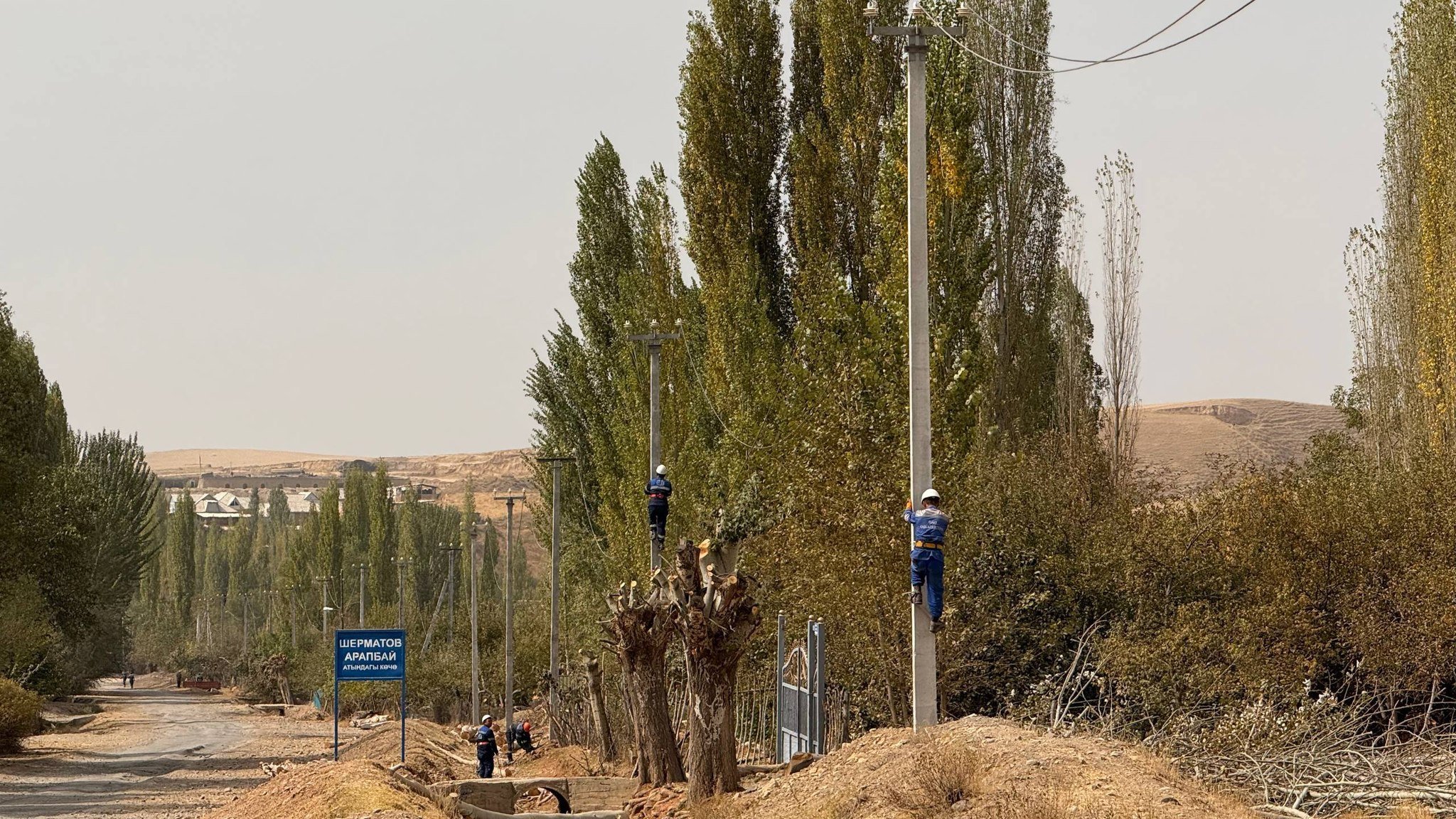 647038000_912396384718671_2069906393457356978_n