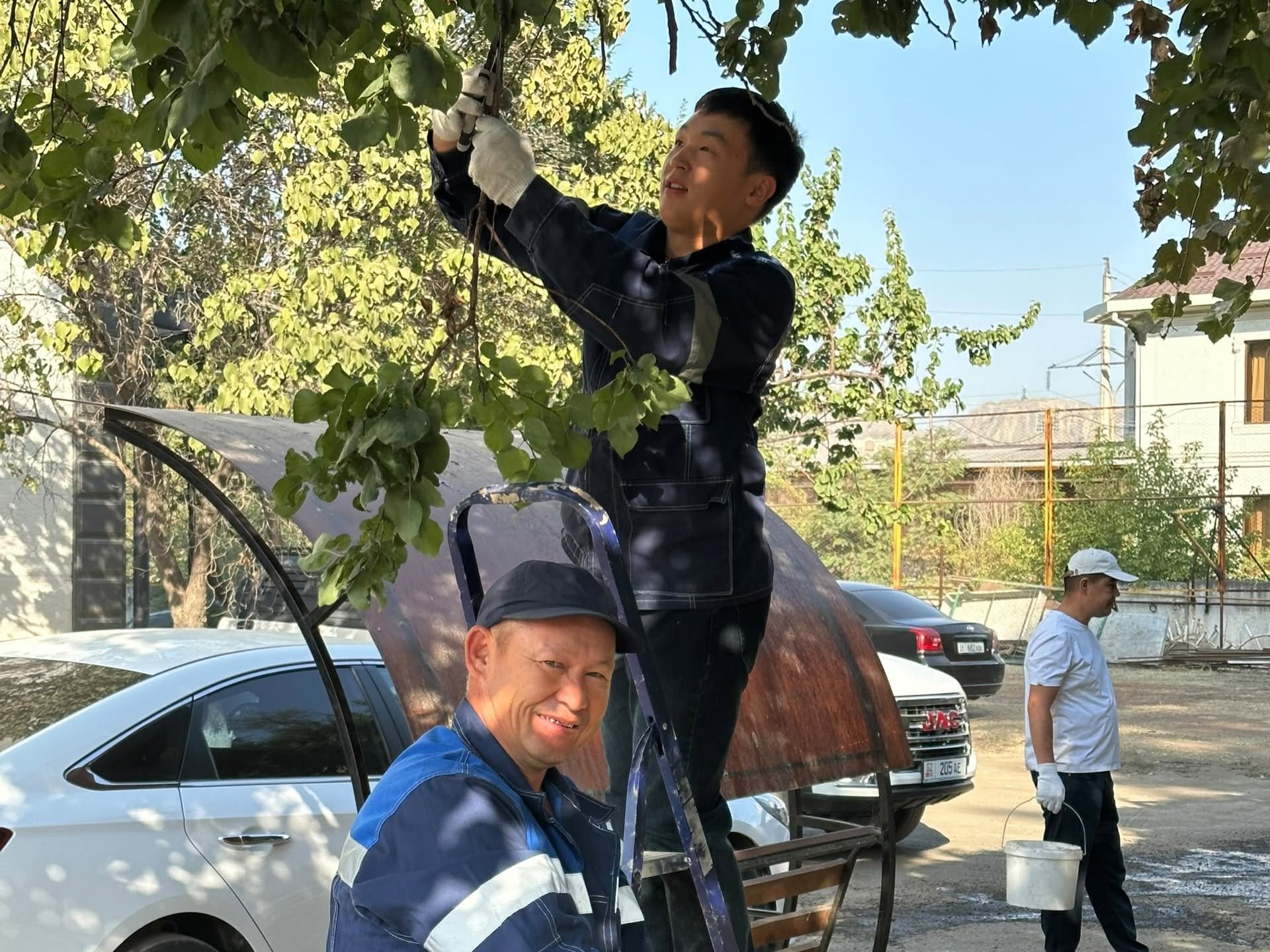 алты