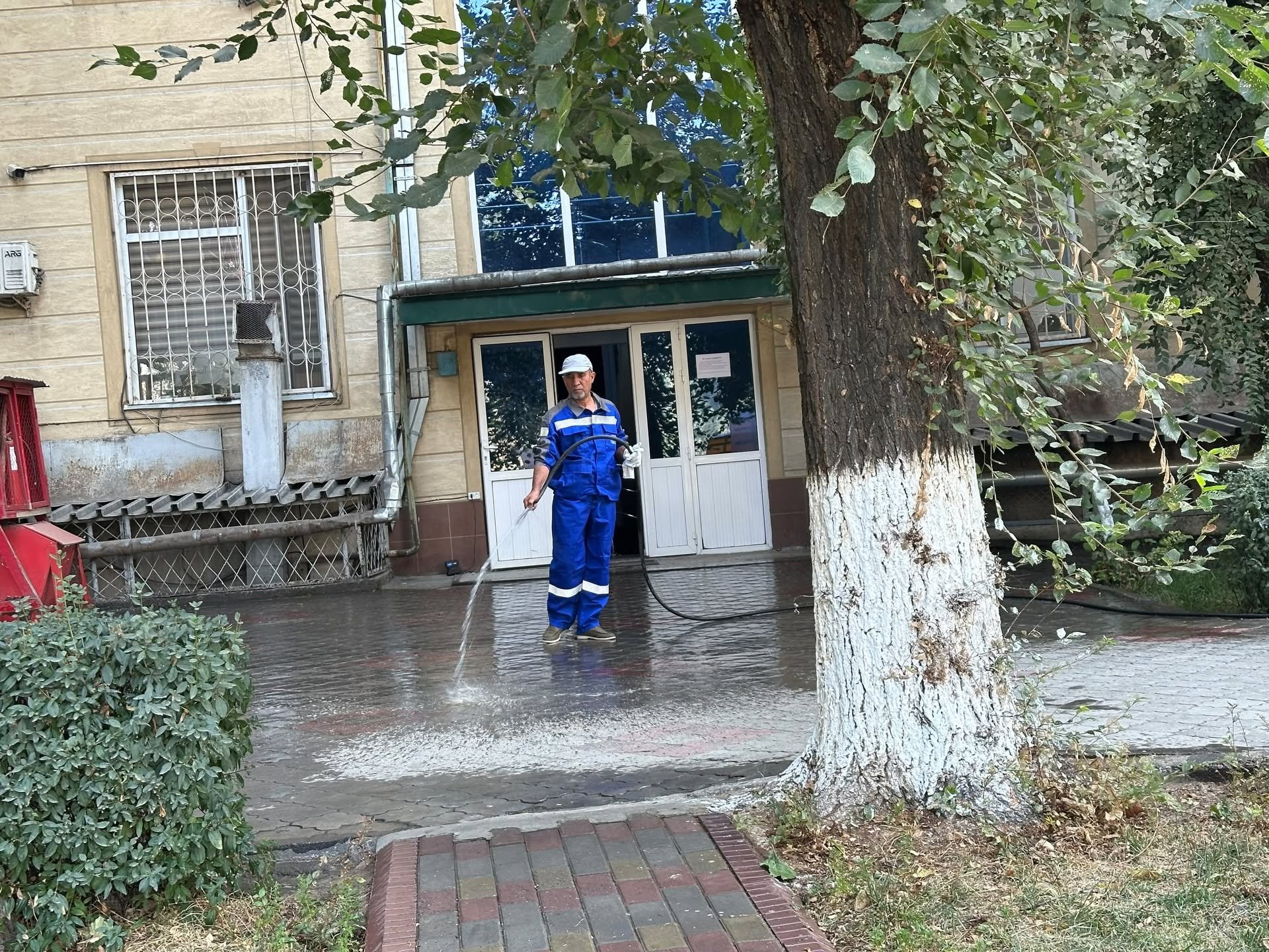 тогуз